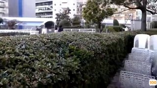 蜡笔小新高清壁纸租豪车钓拜金女,漂亮小姐姐坐在豪车上好开心,去酒店开房激情啪啪,小骚货花样多啥都懂